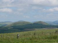 Landschaft in den Borders (Grenzregion zwischen England und Schottland)
