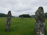 Nether Largie Standing Stones, links neben den Wlad kann man einen Cairn, ein Ganggrab, erahnen. 