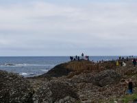 Giant's Causeway 