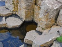 Unterschiedliche Höhen der Basaltsäulen