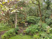 Ganesha, der Hindu-Gott mit dem Elefantenkopf