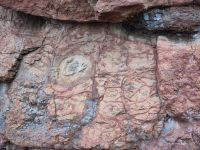 Die Augen des Riesen: Giant's Eyes