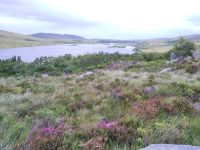 Loch Beagh, Glenveagh, Blickrichtung Nordosten