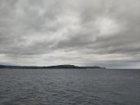 In Carrickfergus Bay (Lough Belfast)