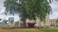 Mohnblüten- Installation im Tower of London 