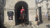 Horse Guarde Parade