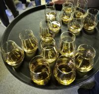 SCO-Dampf-25-0517 Slonsch- gälisch Prost