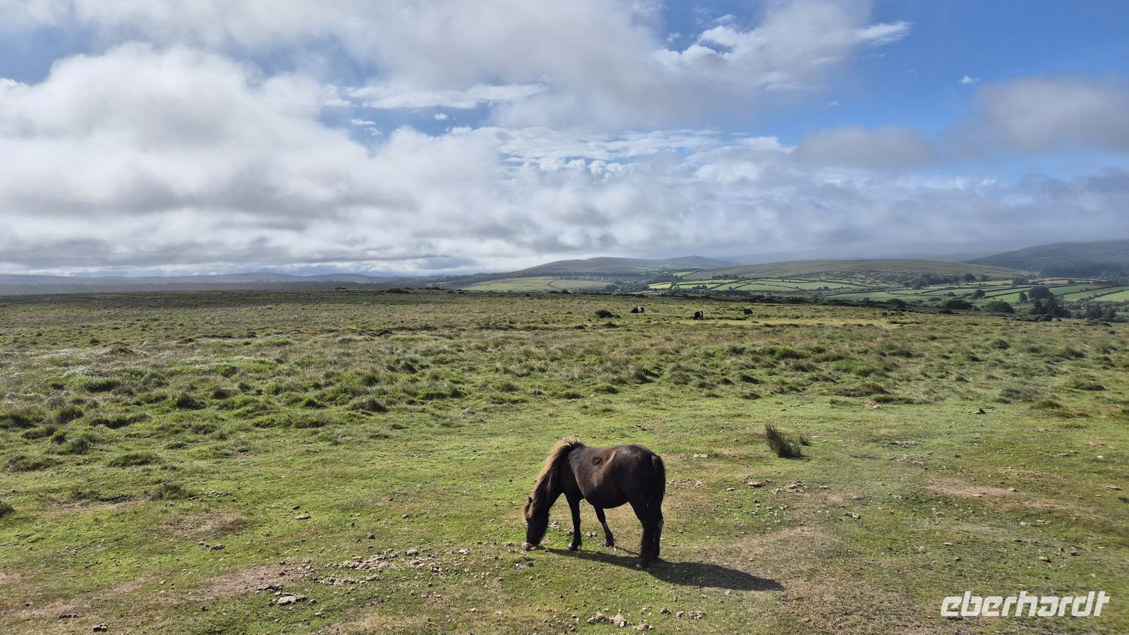 Dartmoor