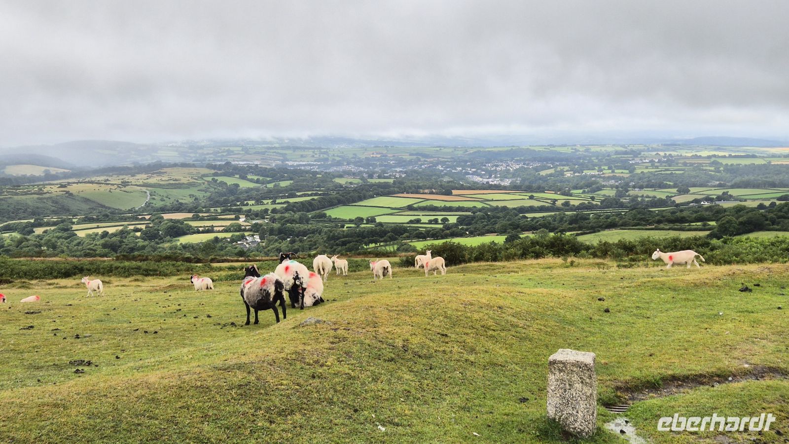 Dartmoor