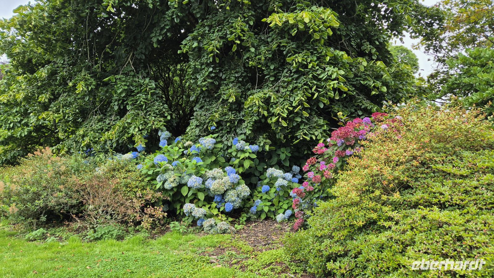 Lanhydrock House and Gardens