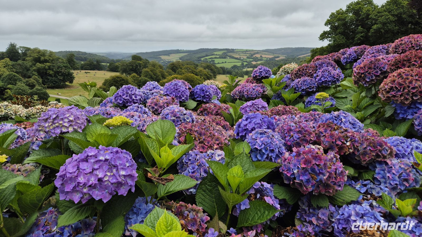 Lanhydrock House and Gardens