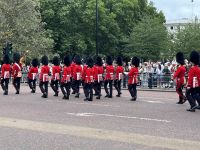 Changing of the Guards