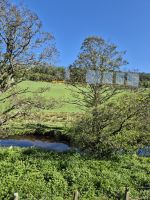 SCO-Dampf 25-0517 Speytal-Whiskytrail