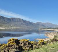 SCO-Dampf-25-0520 Fahrt an die Westküste