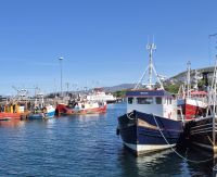 SCO-Dampf 25-0521 Fischereihafen von Mallaig