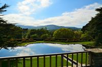 238 Bodnant Garden