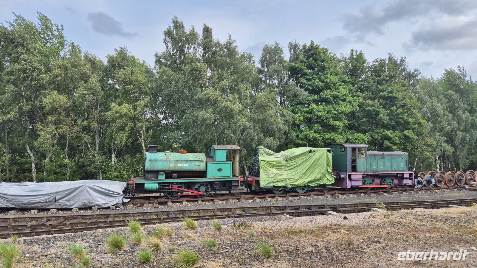 Fahrt mit der Strathspey Railway