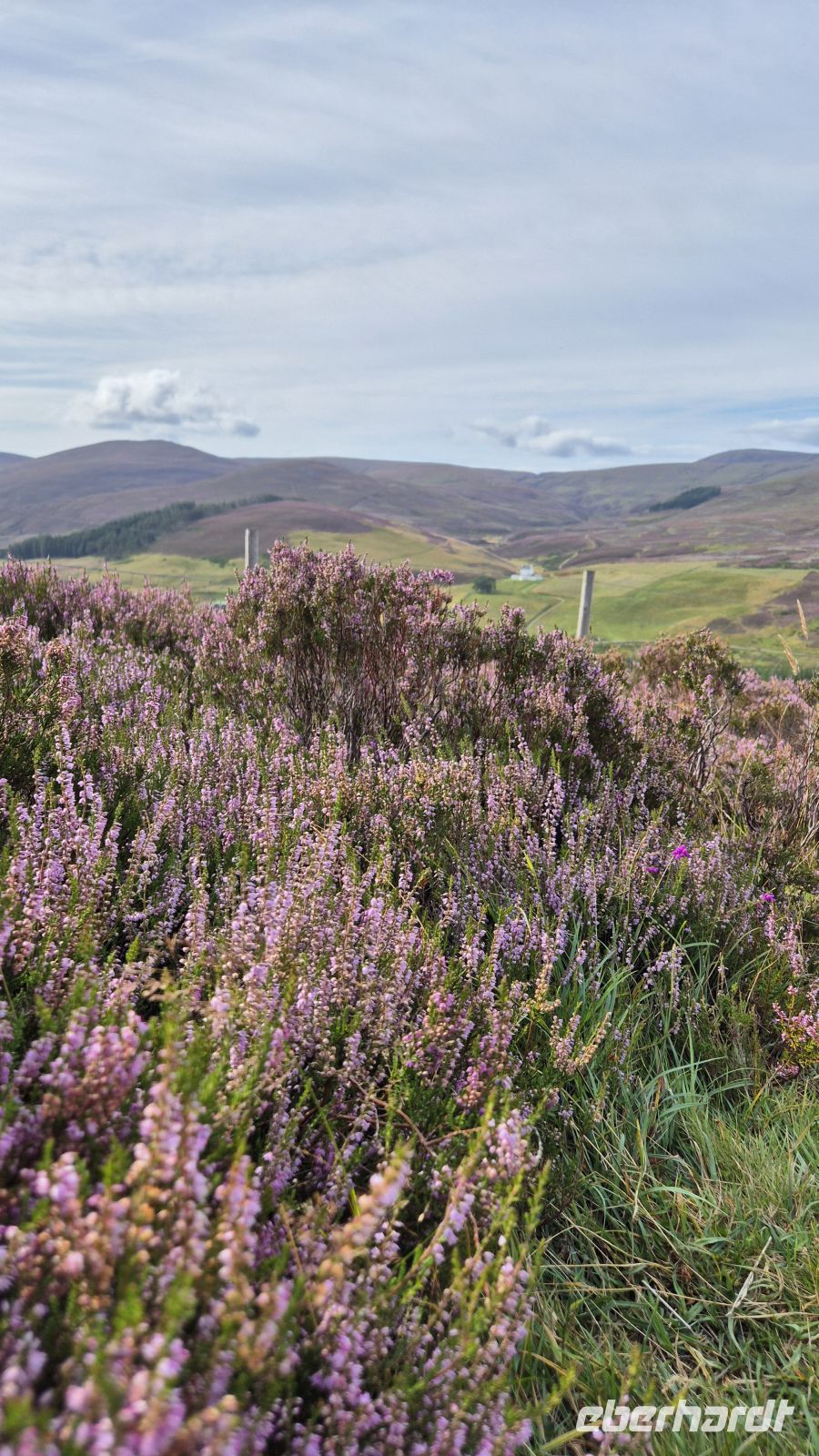 Cairngorms Nationalpark