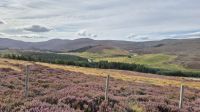 Cairngorms Nationalpark