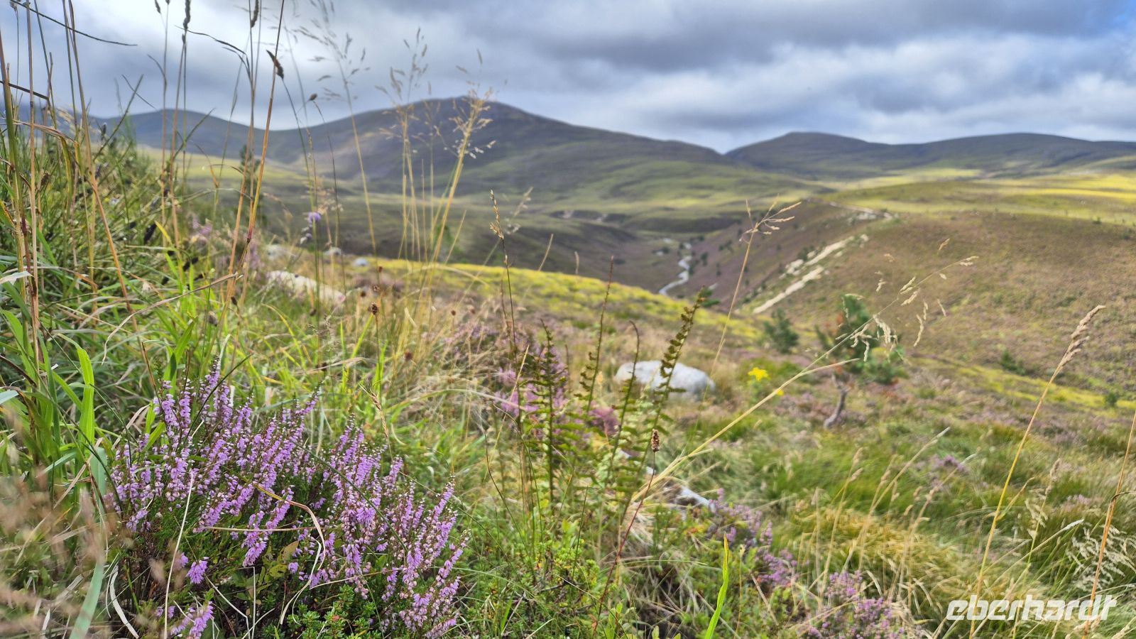 Cairngorms Nationalpark