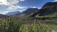 Glencoe
