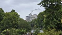 Blick zum London Eye