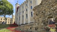 rote Mohnblüten zur Erinnerung an den Tag des Sieges in Europa vor 80 Jahren am White Tower