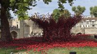überall Installationen von Mohnblüten im Tower of London