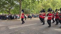 Wachablösung am Buckingham Palast