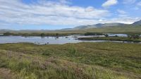 Rannoch Moor