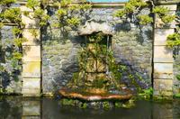239 Bodnant Garden