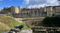 Tower of London mit seinen Tierfiguren