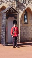 33 Guard im Windsor Castle