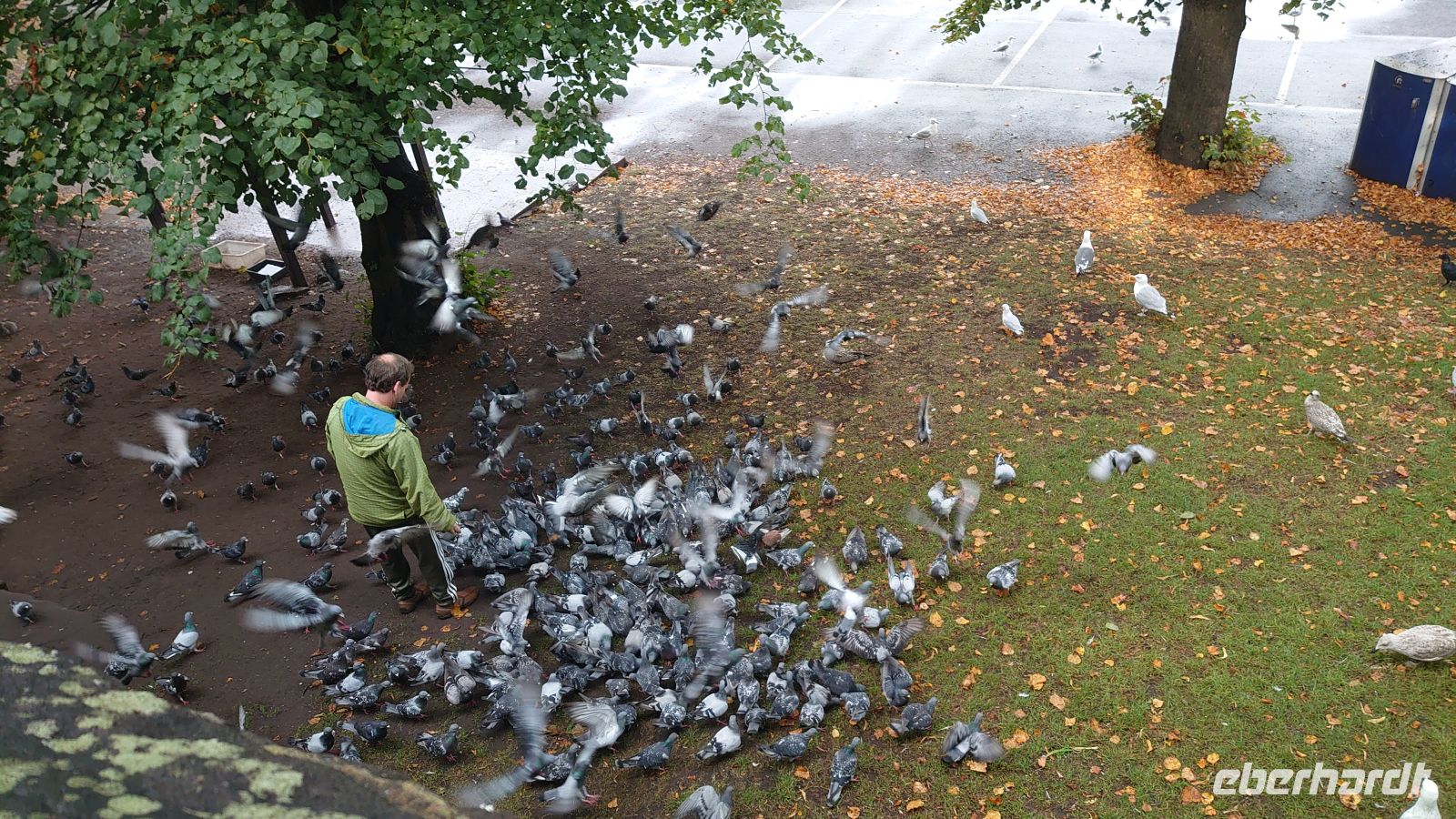 99 Taubenfüttern an der Stadtmauer Stadtmauer, Chester