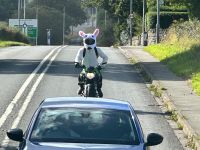 143 Was nicht so alles fährt...