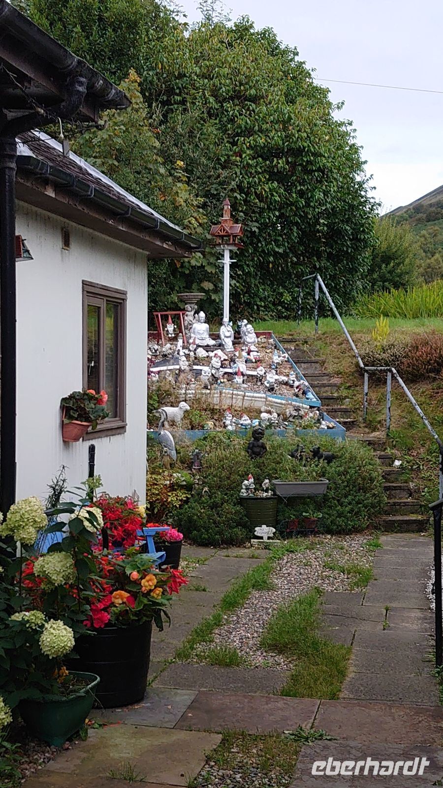 174 Hier wächst noch was anderes...