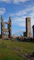 213 Ruine der Kathedrale, St. Andrews