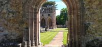 241 Dryburgh Abbey , Borders
