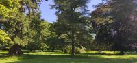 244 Dryburgh Abbey , Borders