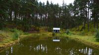 244 Highland Folk Museum