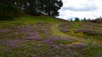 245 Highland Folk Museum