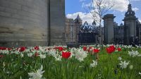 Tor zum Palace of Holyroodhouse &ndash; &copy; Marlies Thrum (Eberhardt TRAVEL)