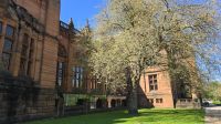 Besuch im Kelvingrove Museum und Art Galerie &ndash; &copy; Marlies Thrum (Eberhardt TRAVEL)