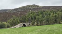 die alte Brücke über den Gairn &ndash; &copy; Marlies Thrum (Eberhardt TRAVEL)
