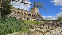 Jedburgh Abbey und Klosteranlagen &ndash; &copy; Marlies Thrum (Eberhardt TRAVEL)