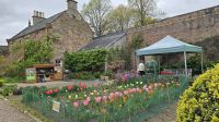 Priors Garden Melrose &ndash; &copy; Marlies Thrum (Eberhardt TRAVEL)