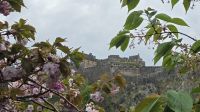Spaziergang Princes Street &ndash; &copy; Marlies Thrum (Eberhardt TRAVEL)