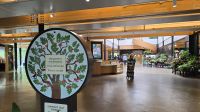 Stopp im Botanischen Garten Edinburgh &ndash; &copy; Marlies Thrum (Eberhardt TRAVEL)