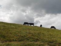 Glück gehabt &ndash; &copy; Britta Martini-Miles (Eberhardt TRAVEL)