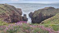 Arbroath Coastal Trail &ndash; &copy; Sinah Witzig (Eberhardt TRAVEL)